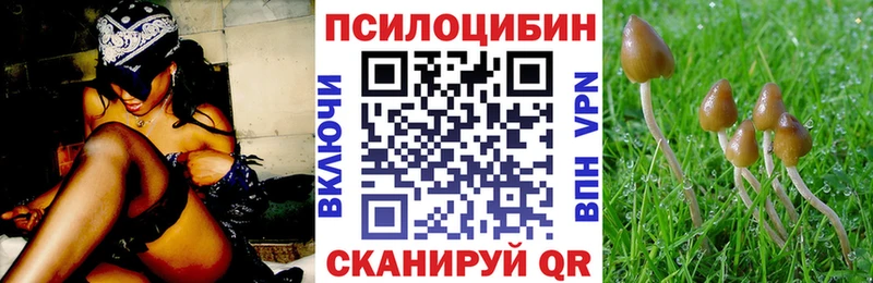 mega ТОР Чусовой Псилоцибиновые грибы Cubensis